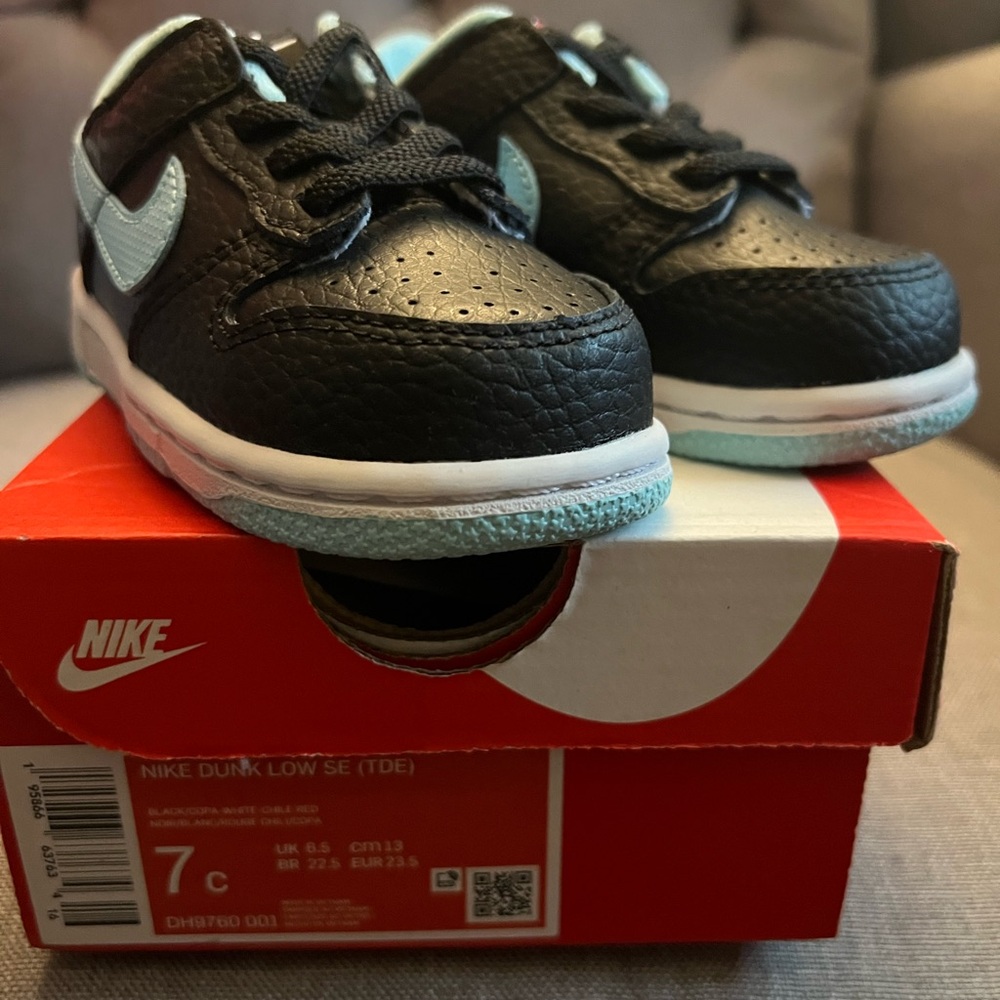 🆕 Nike Kids Dunk Low